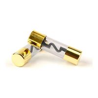10 Pack Gold Plated Glass Car Audio Amp Inline AGU Fuse (70 Amp)