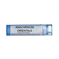 Boiron Anacardium Orientale 6c, Blue, 80 Count