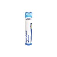 Boiron - Hepar sulphuris calcareum 1M 80 plts