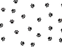 All Occasion Print Cello Rolls - 24"x100' Paw Print Cello Roll 1.0 mil (3 Rolls) - WRAPS - CR24PAW