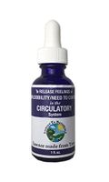Circulatory System Tree Essence