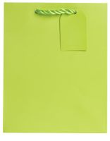 Jillson Roberts Bulk Medium Gift Bags Available in 19 Colors, Lime Matte, 120-Count (BMT941)