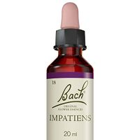 Impatiens ( Impatiente )