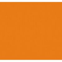 Tissue Paper Orange