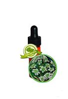 Cumin Essential Oil - 100% Pure (Cuminum cyminum) - 1 DRAM (3.7ml, 1/8oz) - Antioxidant, Anti-inflammatory, Acne, Anti-Aging, Perfumery