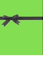 Solid Citrus Green Gift Wrap Wrapping Paper-15ft Roll w. Gift Tags