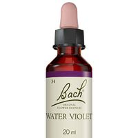 Water Violet ( Violette d'Eau )