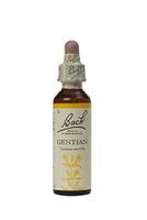 Gentian 20 ML by Bach