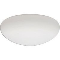 Lithonia Lighting DMUSH9 M4 Replacement Glass Diffuser, White