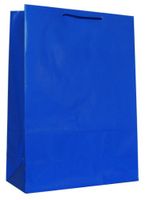 Hallmark's Blue Gift Bag - 3KHB 264J