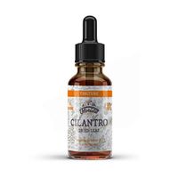 Cilantro Tincture, Organic Cilantro Extract (Coriandrum Sativum) Dried Leaf Herbal Supplement, Non-GMO in Cold-Pressed Organic Vegetable Glycerin, 700 mg, 2 oz (60 ml)