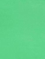 LUX Paper Durable Heavy-Weight Cardstock Paper - 81211-P-17-250, (Pack of 250)