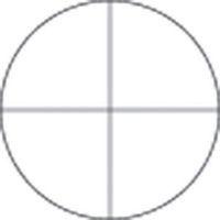 Meiji Techno MA523 Microscope Eyepiece Reticle, Crosshair Pattern