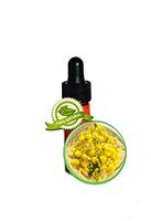 Asafoetida Essential Oil - 3.7ml (1/8oz-Dram) - 100% Pure Ferula Assa-Foetida