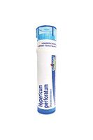 Boiron Hypericum Perforatum 9c, 80 Count