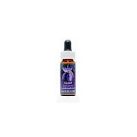 Flower Essence Services Essence, Trumpet Vine, 0.25 Ounce