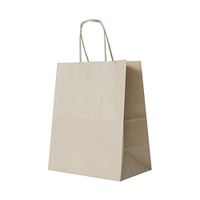 JAM PAPER Solid Gift Bags - Medium - 8 1/4 x 10 x 5 - Brown Kraft - Sold Individually