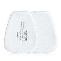 ALEXTREME 10/30/50Pcs 3M PM2.5 Protective Replaceable 5 Layers Replacements