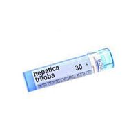 Boiron Hepatica Triloba 30C, 80 Count