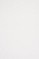 Backdrop Alley White Premium Heavyweight Solid Muslin Photo Background, 10' x 12'