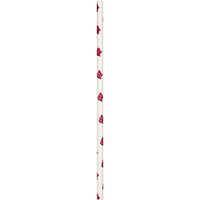 University of Wisconsin Paper Straws