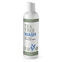 NailRENEW - Antifungal Tea Tree Foot & Nail Wash for Nail Fungus & Athlete's Foot (1 bottle)