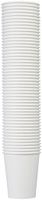 AmazonBasics Paper Hot Cup, 8 oz., 250-Count
