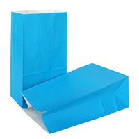 KEYYOOMY 100 CT Small Paper Bags Blue Goody Bags Kraft Party Bags for Wedding Kid’s Birthday Party (Sky Blue, 100 CT, 3.1 X 5.1 X 9.4 in)