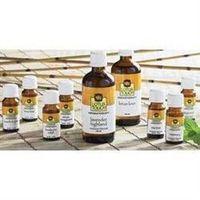 Sandalwood Essential Oil by Lotus Touch, 5 ml Bottle - 100% Pure Therapeutic Grade Single-Note Essential Oil for Aromatherapy - Woody, Sensual Aroma - Soothing & Grounding - Triple Tested for Purity
