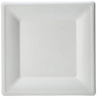 AmazonBasics Compostable Square Plate, 10-Inches, 250-Count