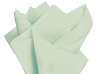 Blue Pistachio Tissue Paper 20x30" 480 Sheet Flat Ream - Wraps-CTFBP