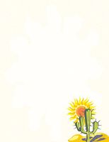Cactus Stationery Printer Paper 51 Sheets