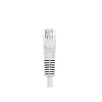 25 ft. CAT5e UTP Patch Cord