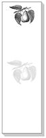 Ars Antigua Slim Writing Blocs (Notepads) Pear Vintage Engraving Two Blocs of 50 Sheets Each - Total of 100 Printed Sheets