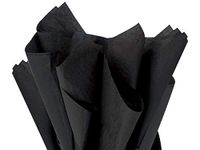 Black Tissue Paper 20x30" 24 Sheet Mini-Pack (12 Packs) - Wraps-CTQBK
