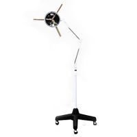 The Noxa Moxa Acupuncture Lamp