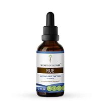 Rue Alcohol-Free Liquid Extract, Organic Rue (Ruta graveolens) Dried Herb Tincture Supplement (2 FL OZ)