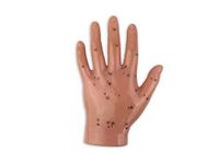 Human Hand Model with Acupuncture Points