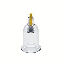 Wholesale Cupping Therapy Vacuum Suction Disposable Hijama Cups Chiropractor Acupuncture Physiotherapy - Multiple Sizes - Express Delivery Worldwide (10 Cups, B5 - Inner 2.55cm - Outer 3.2cm)