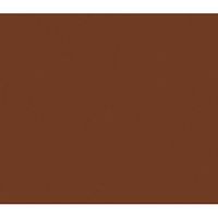 Tissue Paper Raw Sienna