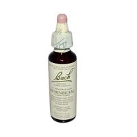 BACH HORNBEAM, 20 ML