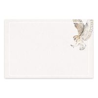Owl Note Cards from Dashleigh, 48 Cards, 4x6 inches, Ultra Thick Cardstock
