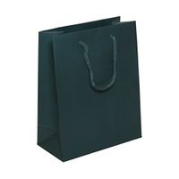 JAM PAPER Gift Bags with Rope Handles - Medium - 8 x 10 x 4 - Teal Matte - Bulk 100 Bags/Pack