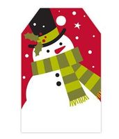 Snowman Gift Note Cards with Envelopes and Gold Seal -25pack Set