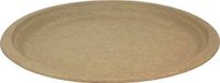 Ocean Blue Trading|Disposable Plates,SugarCane (Bagasse)|Natural color; Unbleached, 10-Inch, 125 Count