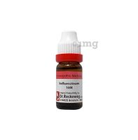 Dr. Reckeweg Germany Influenzinum Dilution 10M CH
