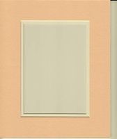 16x20 Peahces and Cream Double Picture Mat, Bevel Cut for 11x14 Picture or Photo