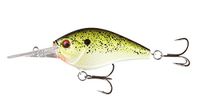 13 Fishing Cliff Banger 8ft Louisiana Frog Cakes