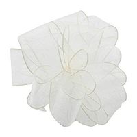 Berwick ISS-009-50-IVI Ivory Wired Edge Ribbon