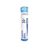 Boiron Galphimia Glauca 30C Pellets -- 80 ct.